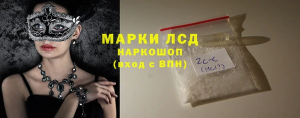 амф Кулебаки