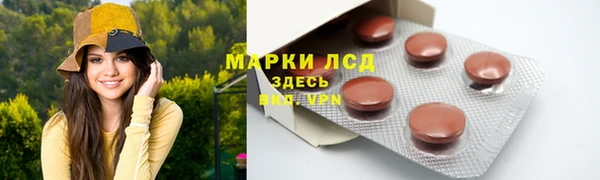 ГАЛЛЮЦИНОГЕННЫЕ ГРИБЫ Кукмор