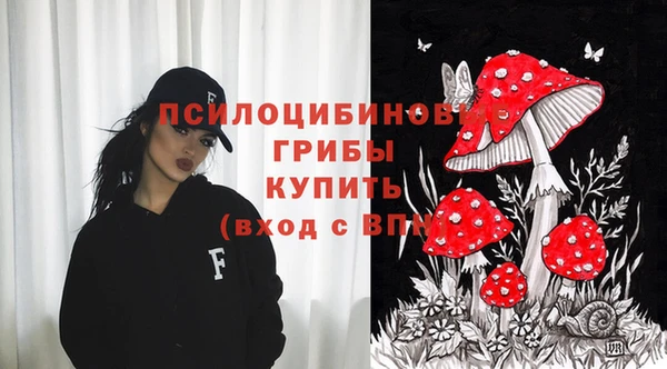 ГАЛЛЮЦИНОГЕННЫЕ ГРИБЫ Кукмор