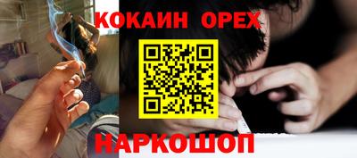 jwh Кингисепп