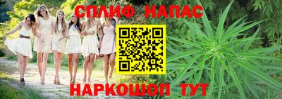 jwh Кингисепп