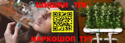 jwh Кингисепп