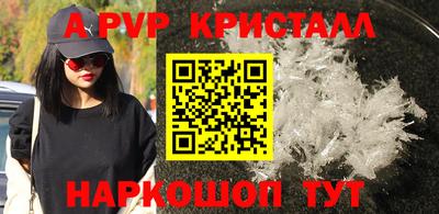 jwh Кингисепп