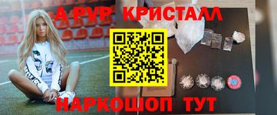 jwh Кингисепп