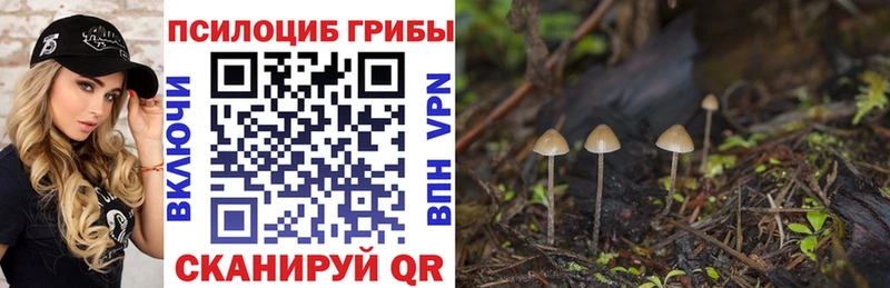 наркошоп  Кулебаки  Галлюциногенные грибы Psilocybine cubensis 