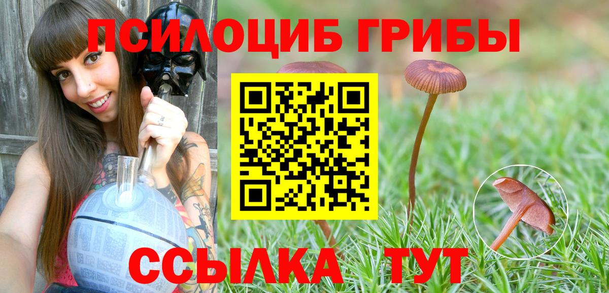 Псилоцибиновые грибы GOLDEN TEACHER  дарнет шоп  Кулебаки  Вход с VPN 