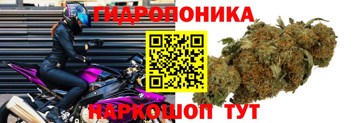 Бошки марихуана индика  Вход с VPN  Шишки марихуана конопля  Бошки марихуана план  Кулебаки 